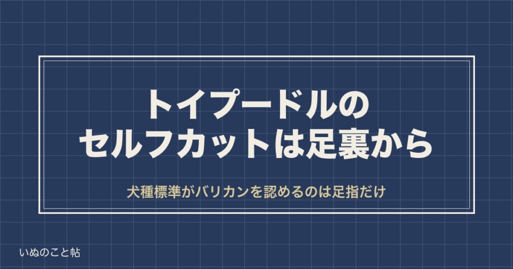 トイプードルのセルフカットは初心者なら足裏から｜道具と手順も