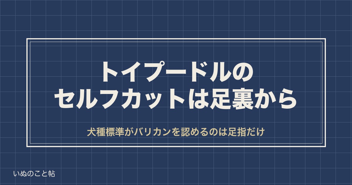 トイプードルのセルフカットは初心者なら足裏から｜道具と手順も