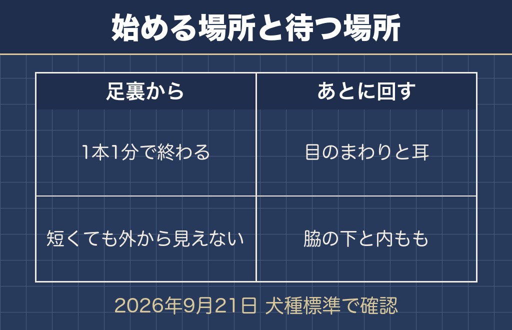 トイプードルのセルフカットは初心者なら足裏から