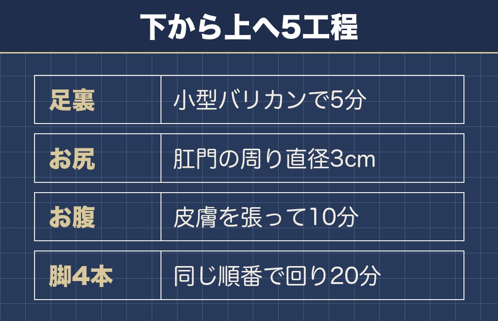 トイプードルのセルフカットの手順は下から上へ