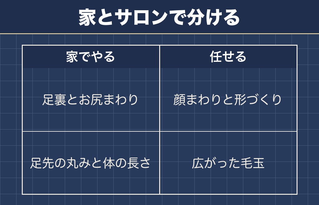 セルフカットとサロンに任せる範囲の決め方