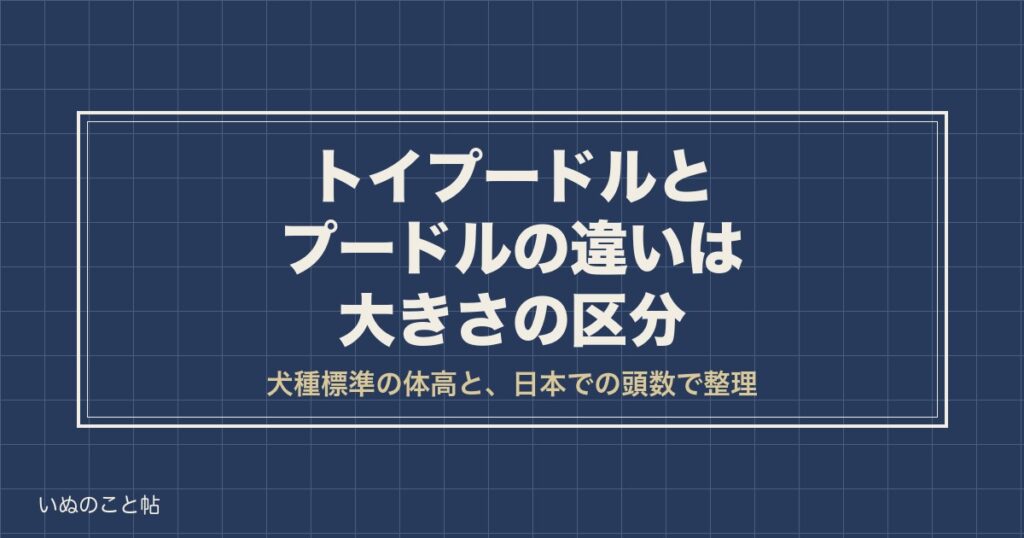 トイプードルとプードルの違いは大きさの区分｜4サイズと選び方