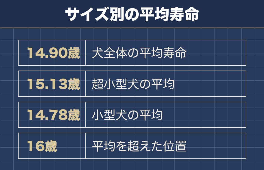 トイプードルの16歳は平均寿命を超えた位置にある