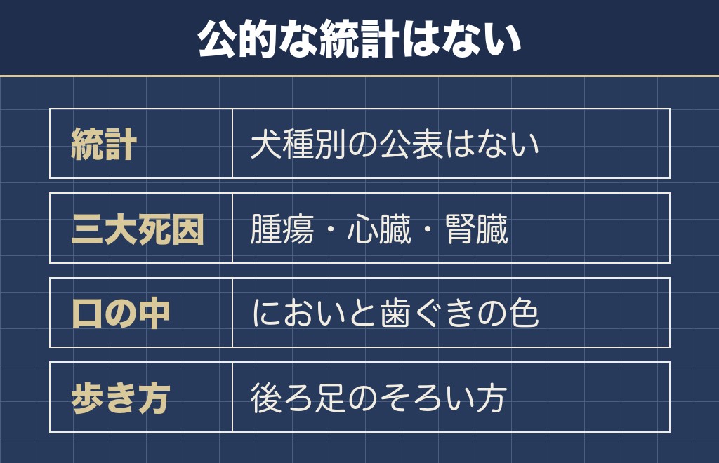 トイプードルに多い死因として挙げられるもの