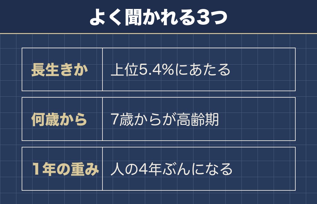 トイプードルの16歳に関するQ&A