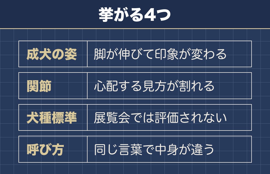 トイプードルのドワーフのデメリットは4つに整理できる