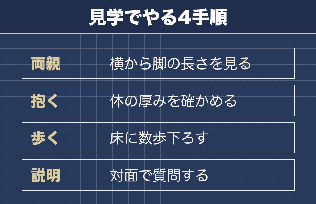 トイプードルのドワーフで後悔しないために見る4か所