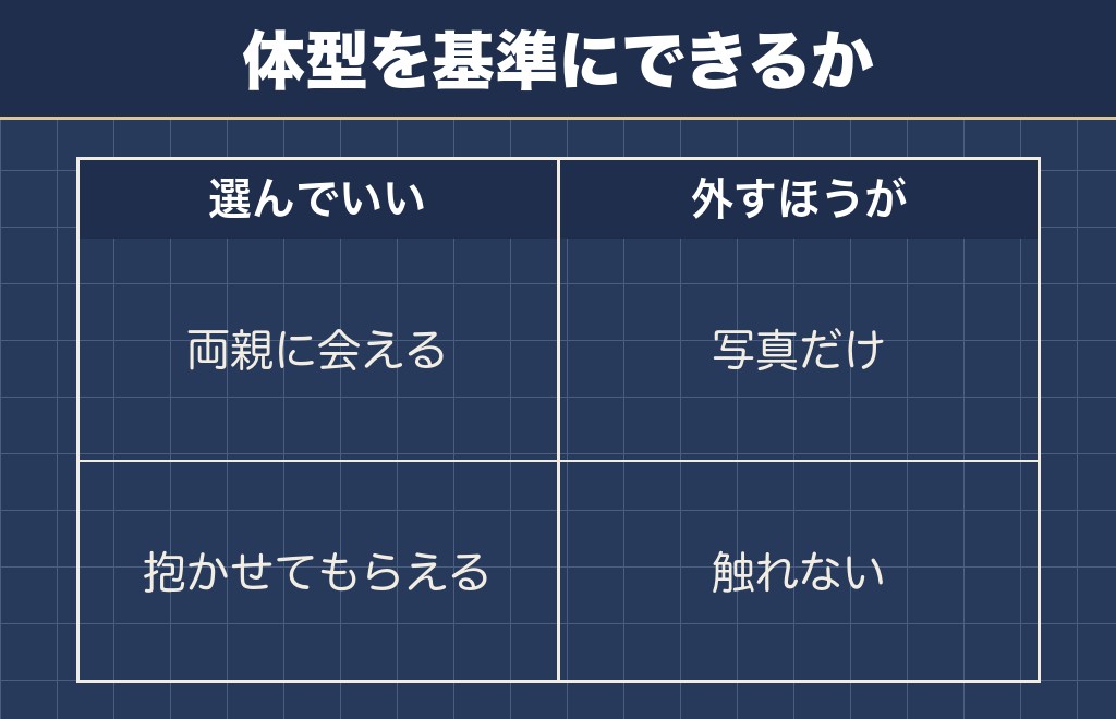 トイプードルのドワーフを体型で選んでいい場合と選ばない場合