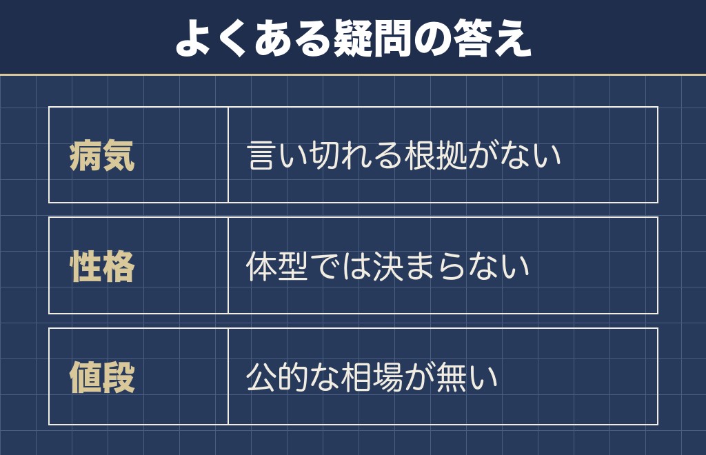 トイプードルのドワーフに関するQ&A