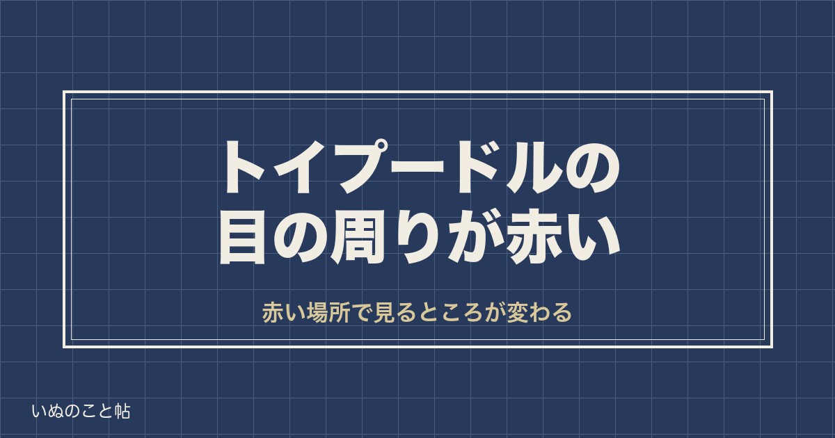 トイプードルの目の周りが赤い原因は？涙やけや腫れの対処法も