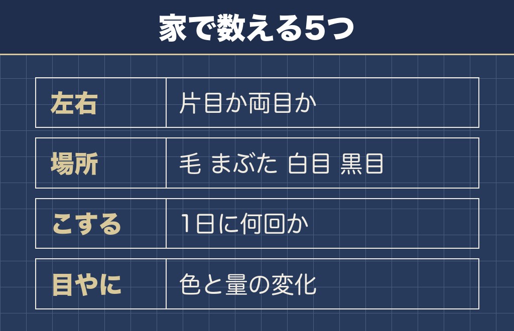 トイプードルの目の周りが赤いときに家で確かめる観察ポイント