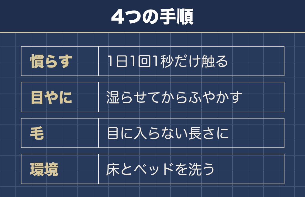 トイプードルの目の周りが赤いときに家でできるケア