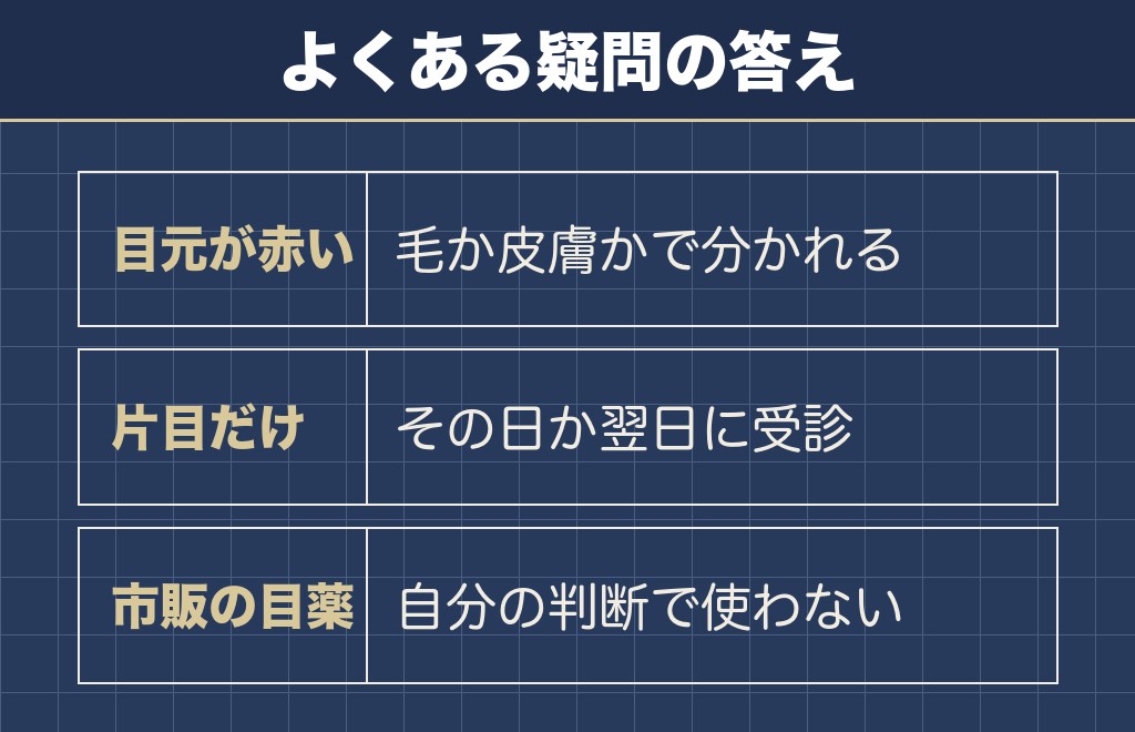 トイプードルの目の周りが赤いことに関するQ&A