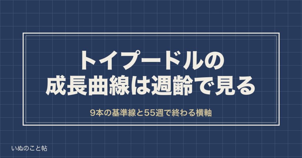 トイプードルの成長曲線は週齢で見る｜成犬体重の予想と止まる時期