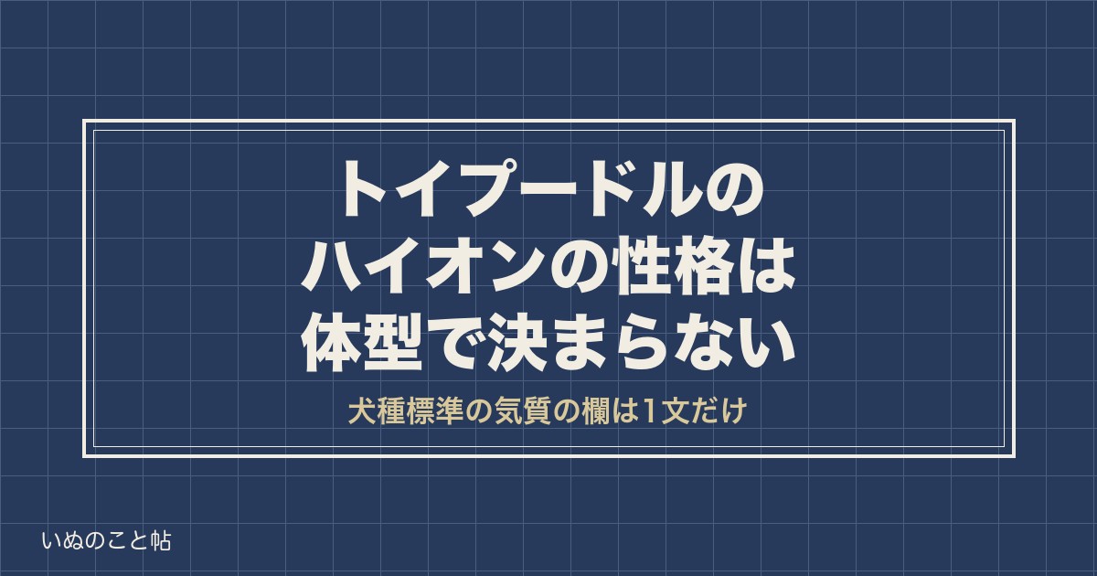 トイプードルのハイオンの性格は体型で決まらない｜特徴と見分け方
