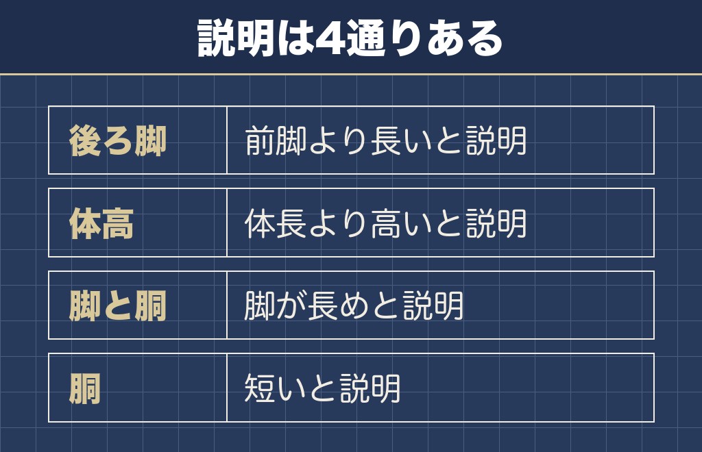トイプードルのハイオンの特徴は腰が高く見える立ち姿