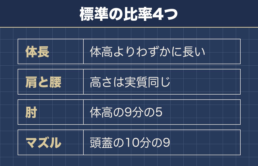 トイプードルの体型を見分ける物差しは犬種標準にある