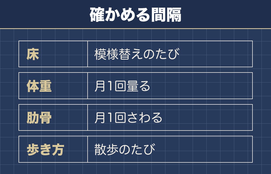 トイプードルのハイオンと暮らすときに見ておくところ