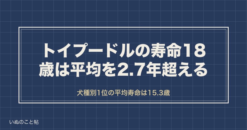 トイプードルの寿命18歳は平均を2.7年超える｜最高齢も