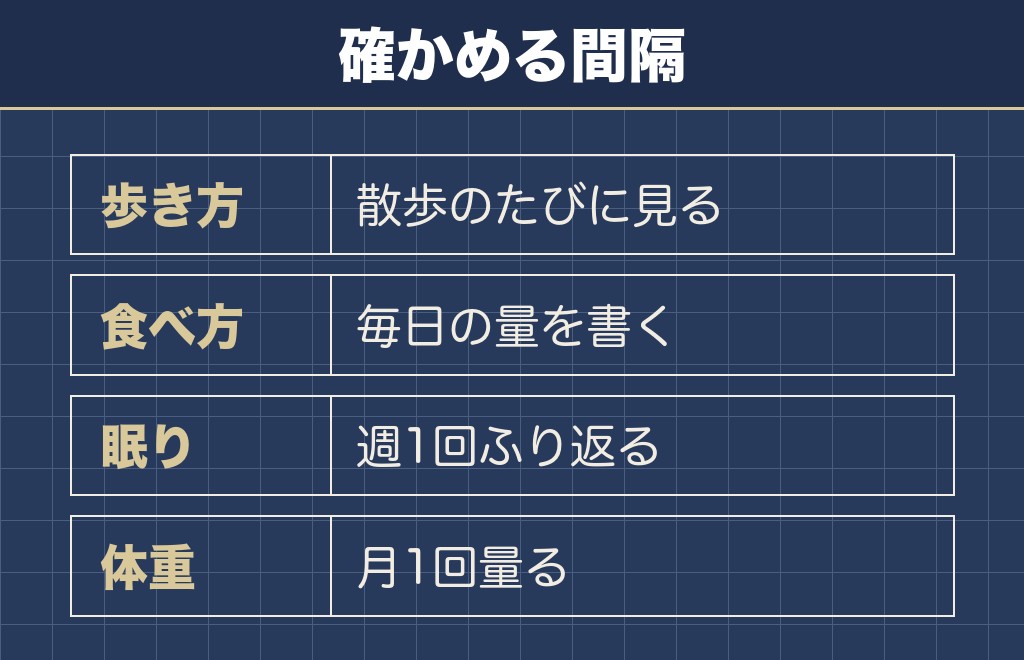 18歳のトイプードルとの暮らしで変わる3つの場所