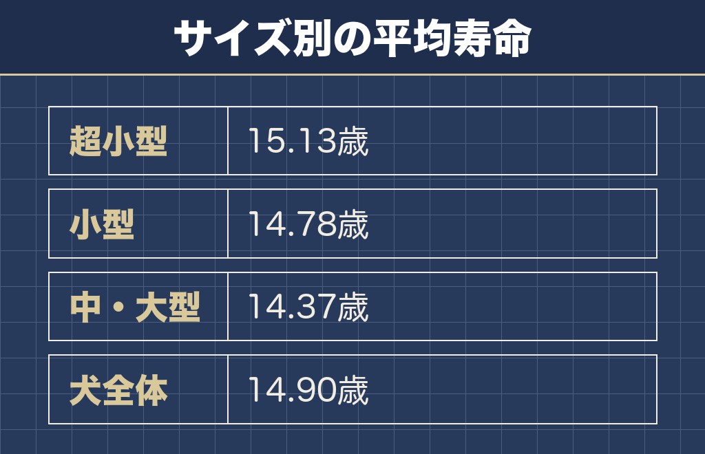 トイプードルの平均寿命と死因の目安