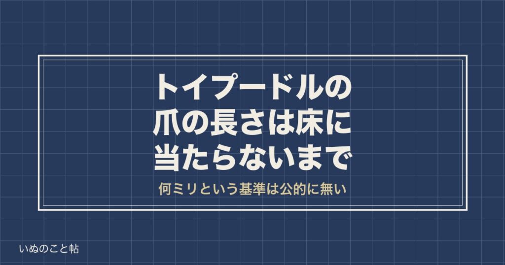 トイプードルの爪の長さは床に当たらないまで｜黒い爪の目安も