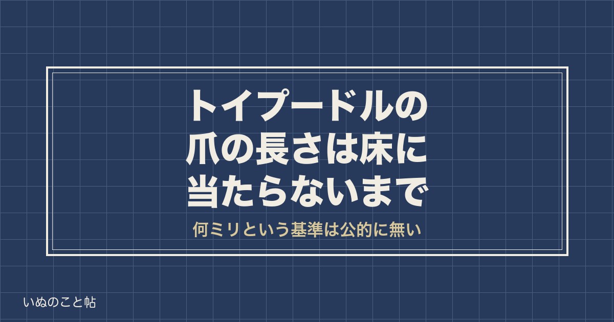 トイプードルの爪の長さは床に当たらないまで｜黒い爪の目安も