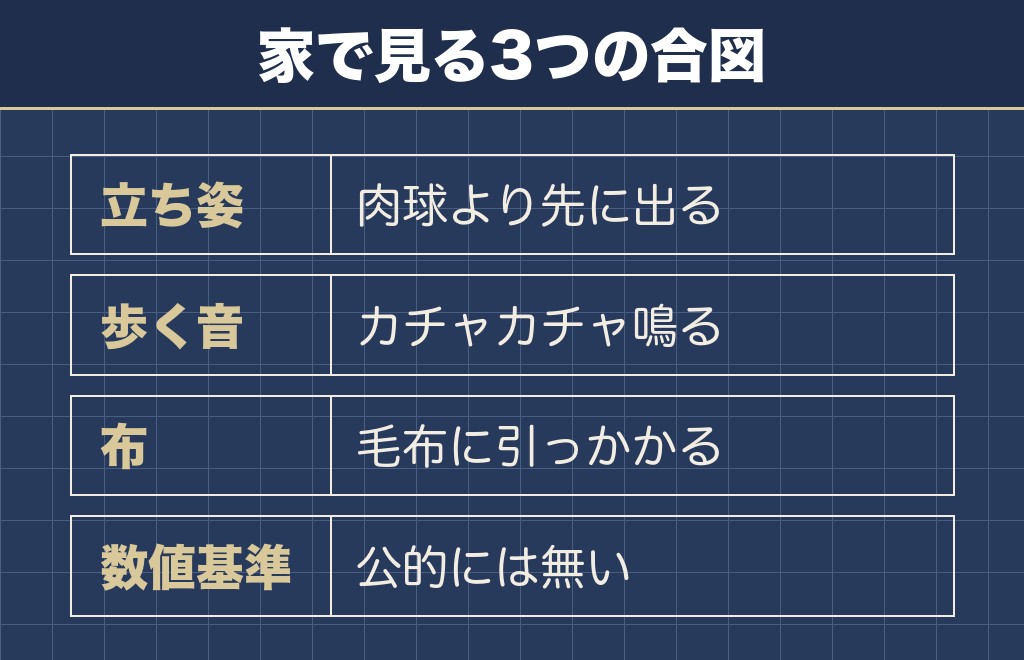 トイプードルの爪の長さは立ったとき床に当たらないまで