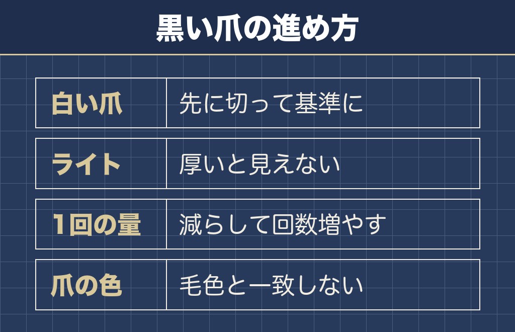 トイプードルの黒い爪の長さは少しずつ切って見分ける