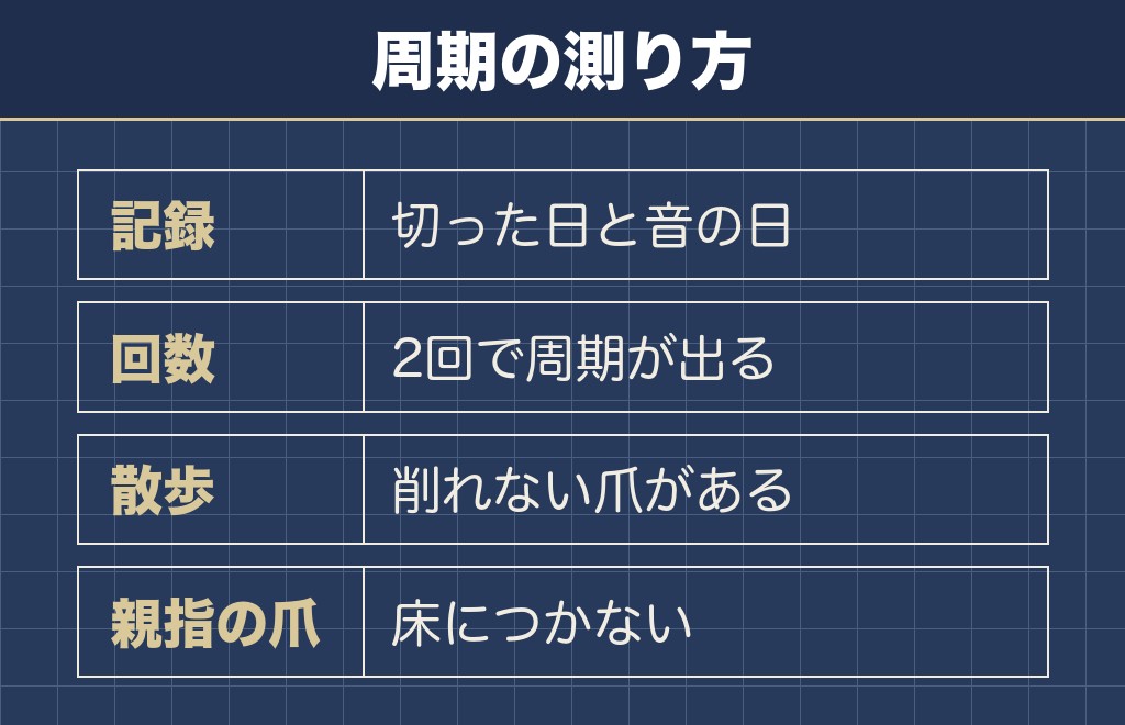 トイプードルの爪の長さを保つ間隔は音が戻る周期で決める