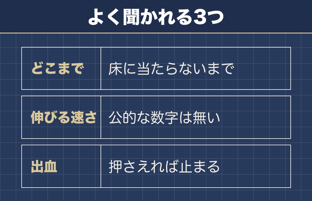 トイプードルの爪の長さに関するQ&A