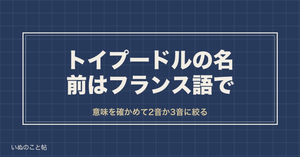 トイプードルの名前はフランス語で？おしゃれな意味と由来も