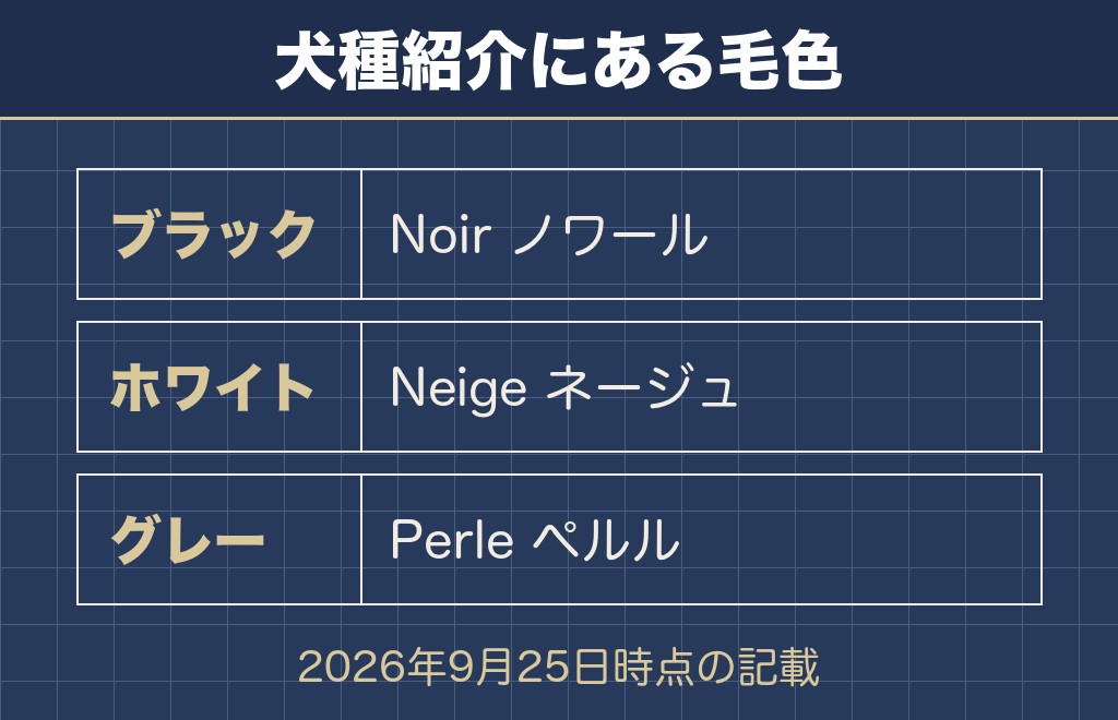 トイプードルの名前にフランス語が似合う理由