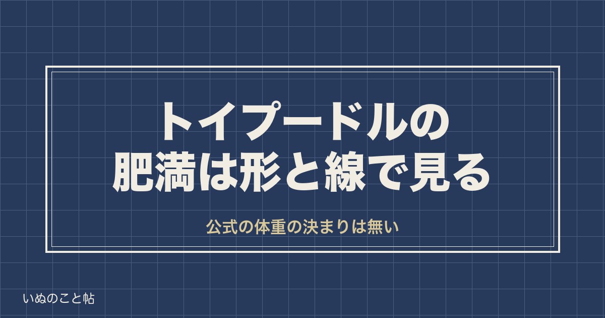 トイプードルの肥満は画像より形｜体型チェックと適正体重の出し方