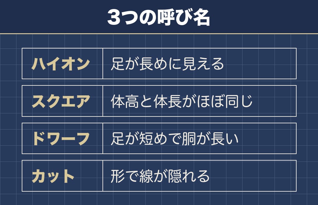 トイプードルの肥満は体型の違いでも見え方が変わる