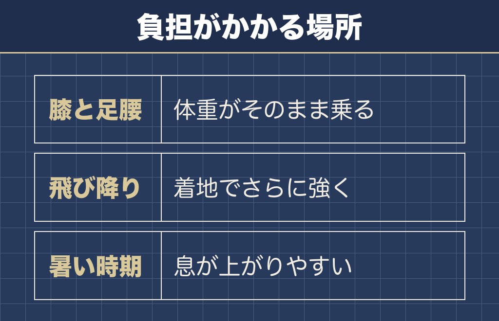 トイプードルの肥満で起きやすいと言われていること