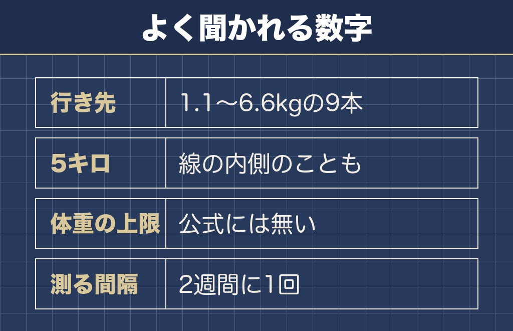 トイプードルの肥満に関するQ&A