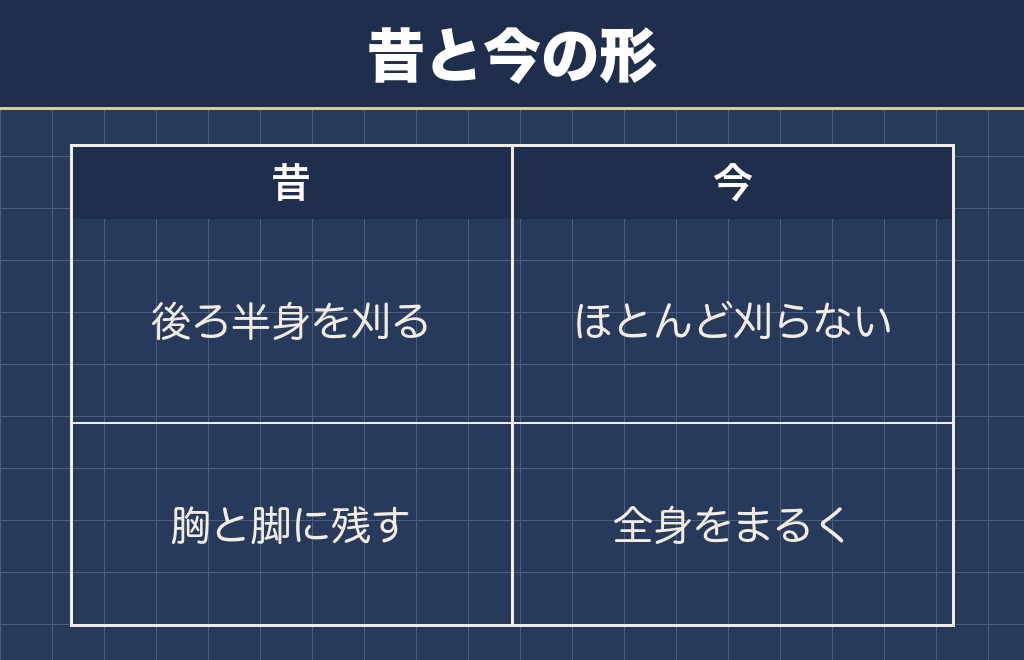 トイプードルの昔のカットはプードルカットが主流だった