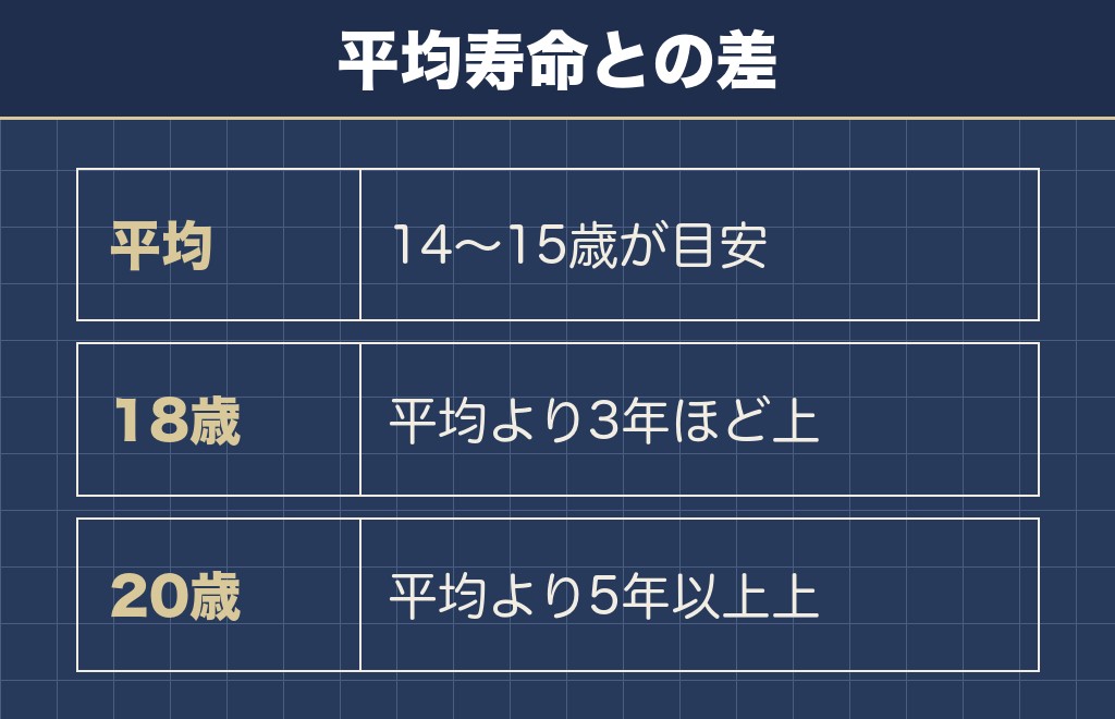 トイプードルの平均寿命は14〜15歳が目安