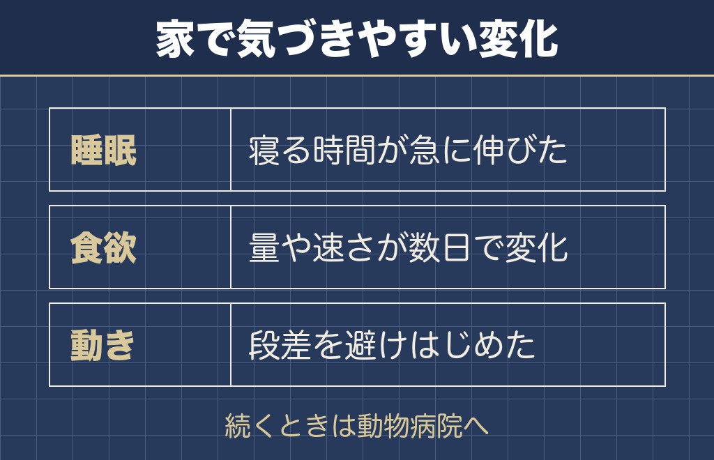 トイプードルの最高齢を左右する病気と死因