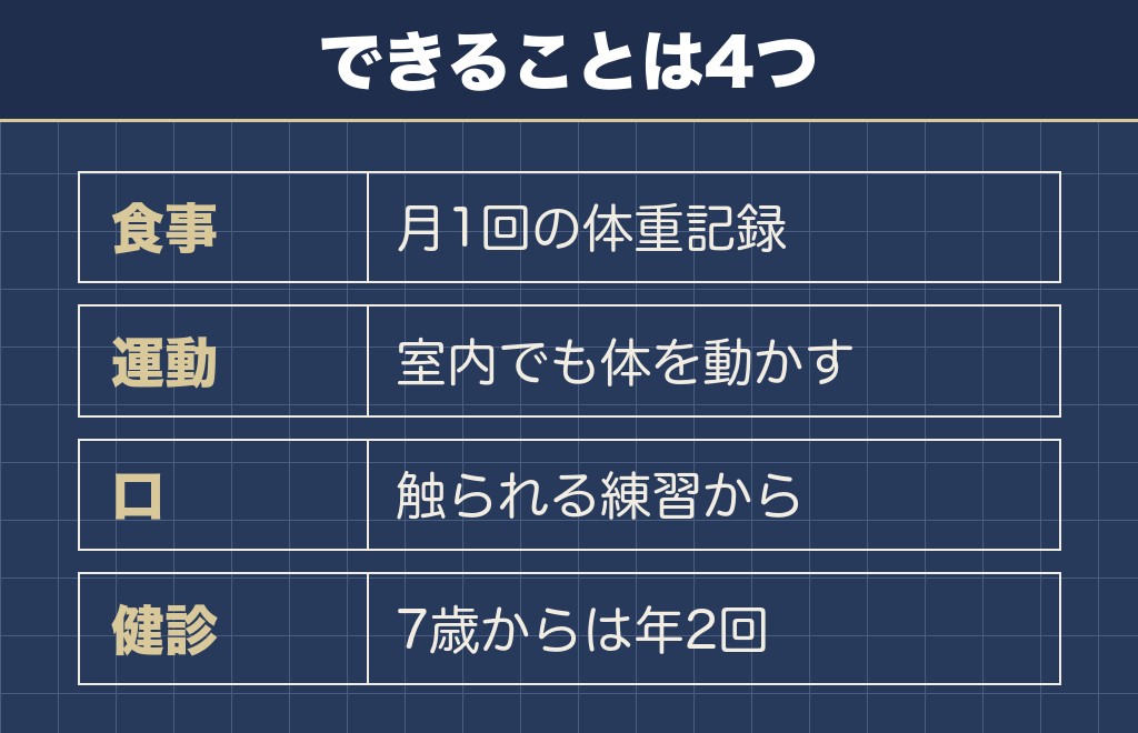 トイプードルを長く見守るためにできること