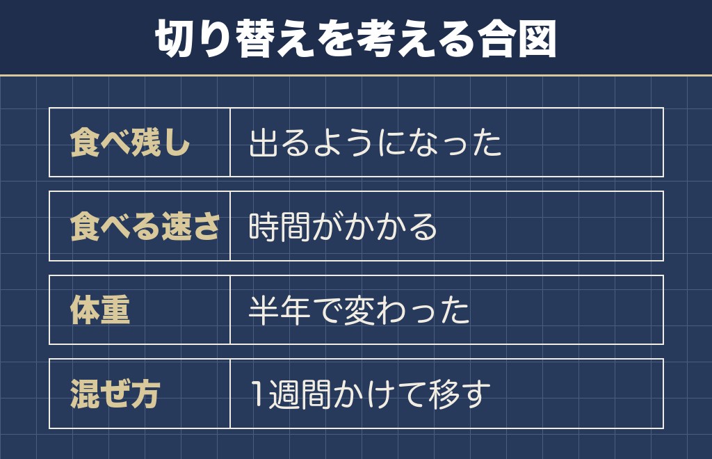 トイプードルの老犬の食事は年齢だけで切り替えない