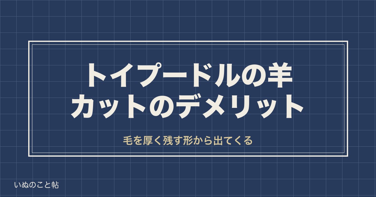トイプードルの羊カットのデメリットは？失敗しやすい毛質や短めも