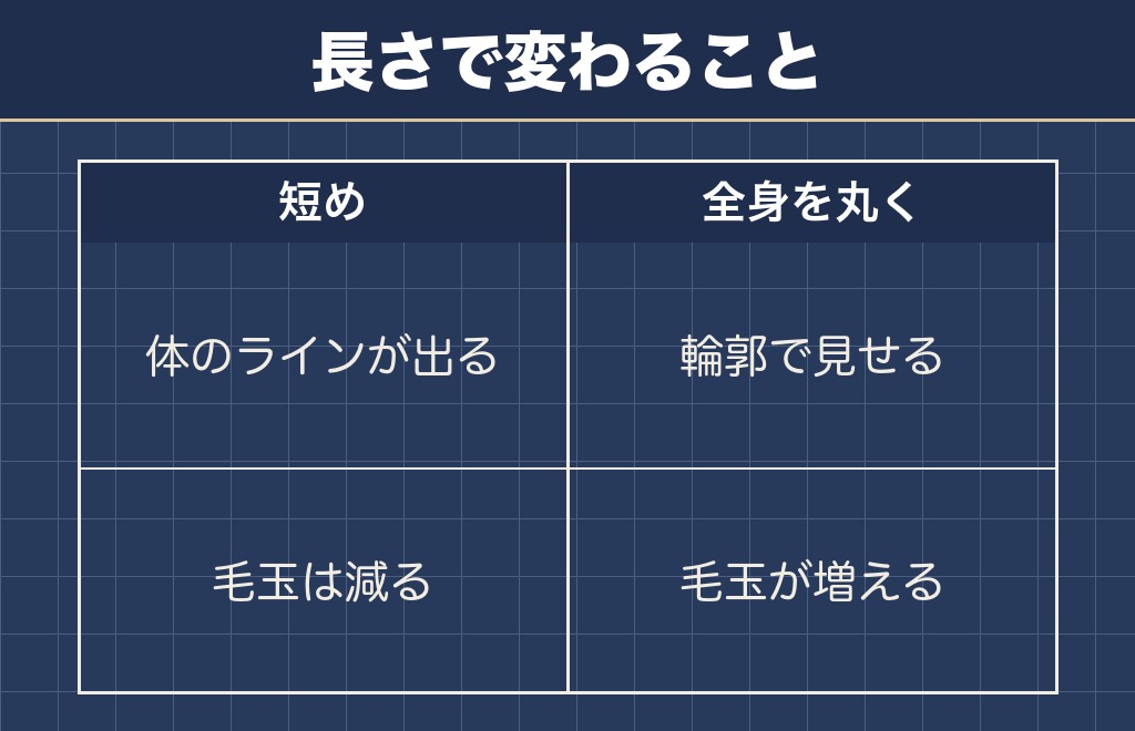 トイプードルの羊カットを短めにすると丸みが弱くなる