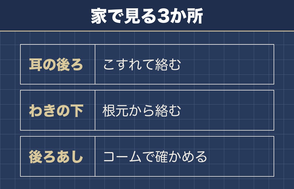 トイプードルの羊カットを続けるためのお手入れと確かめること