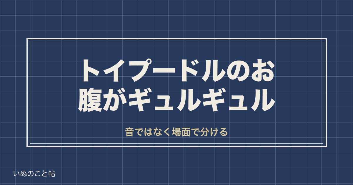 トイプードルのお腹がギュルギュル鳴る原因は?食欲や下痢との関係も
