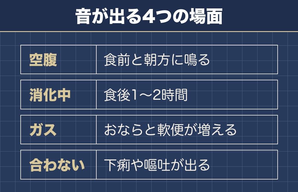 トイプードルのお腹がギュルギュル鳴る原因は4つに分かれる