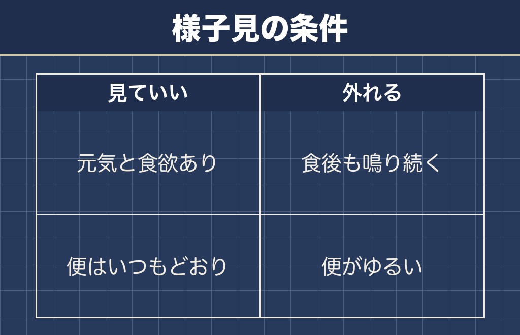 トイプードルのお腹がギュルギュル鳴っても様子を見ていい場合