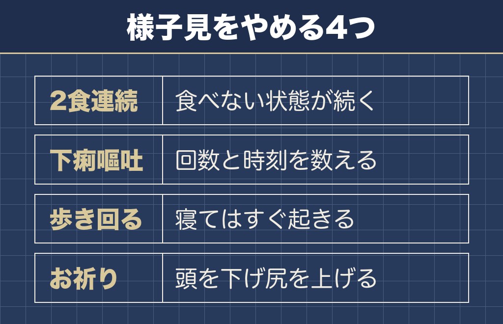 トイプードルのお腹がギュルギュル鳴って食欲がないときの見方