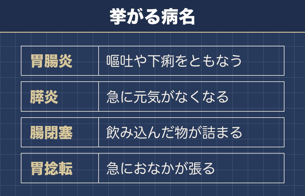 トイプードルのお腹がギュルギュル鳴るときに名前が挙がる病気
